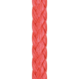 Liros D-Pro