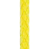 Liros D-Pro