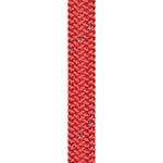 Liros Racer