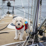 Spinlock Fido